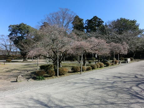 hikone.no4.jpg