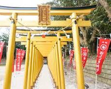 hosiimojinjya.no1.jpg